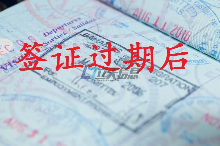 立天签证