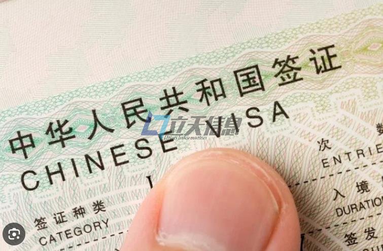 中国签证类型