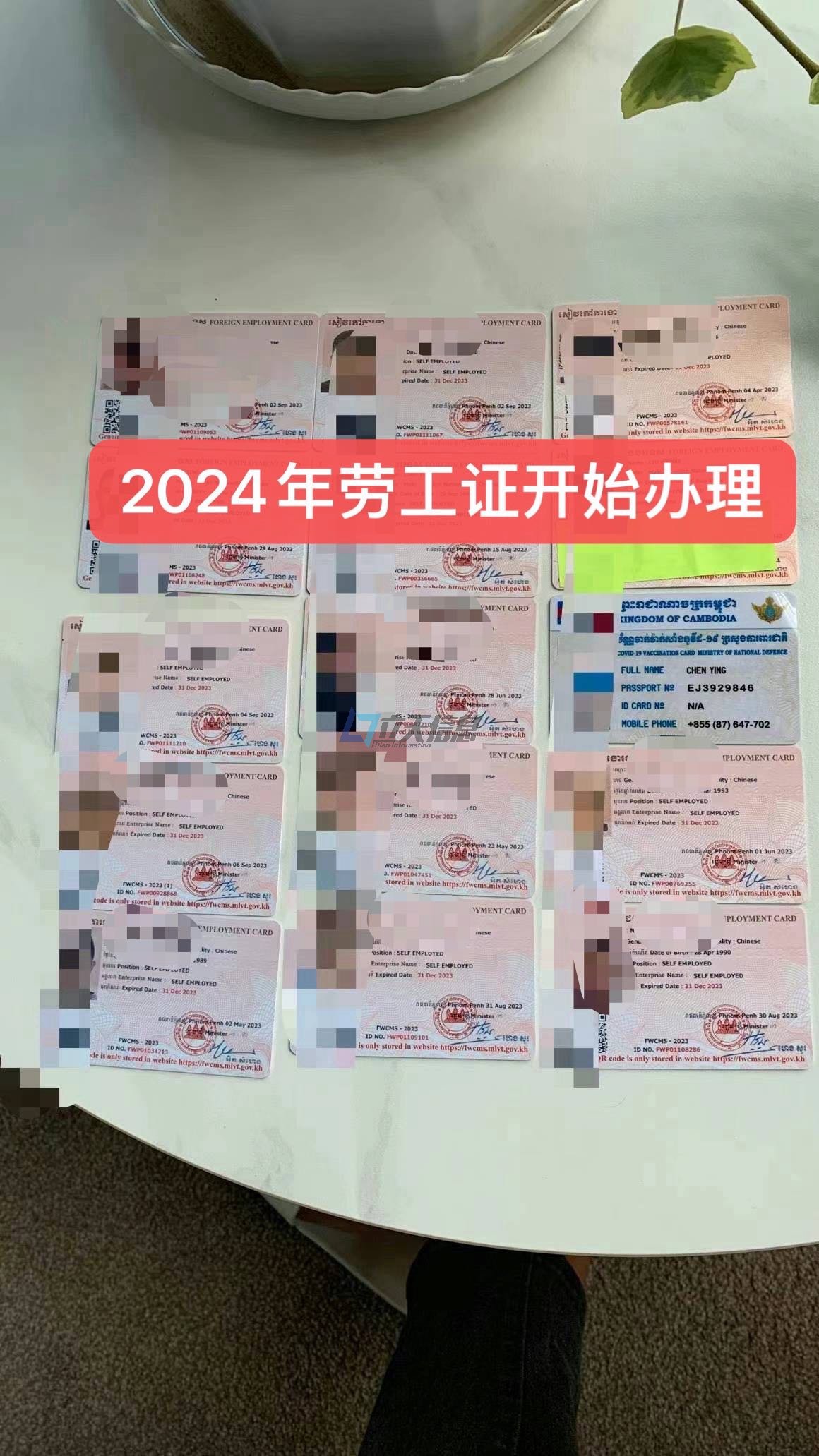 2024年劳工证，柬埔寨劳工证